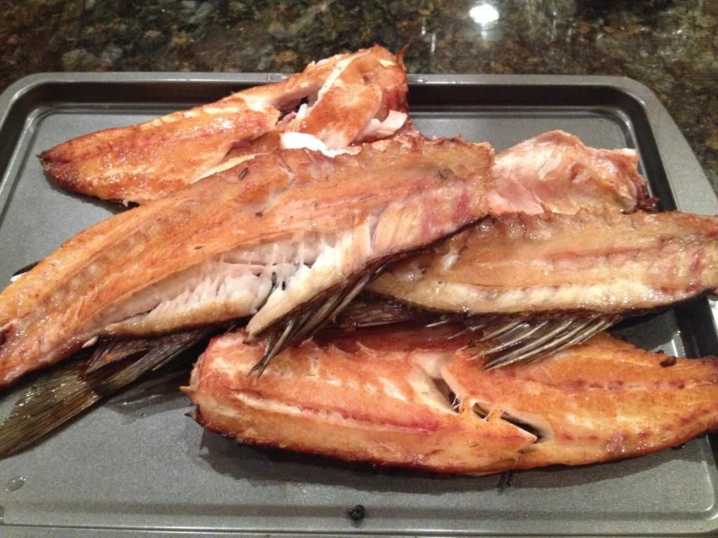 Jerky and Rock Fish The Virtual er Bulletin Board